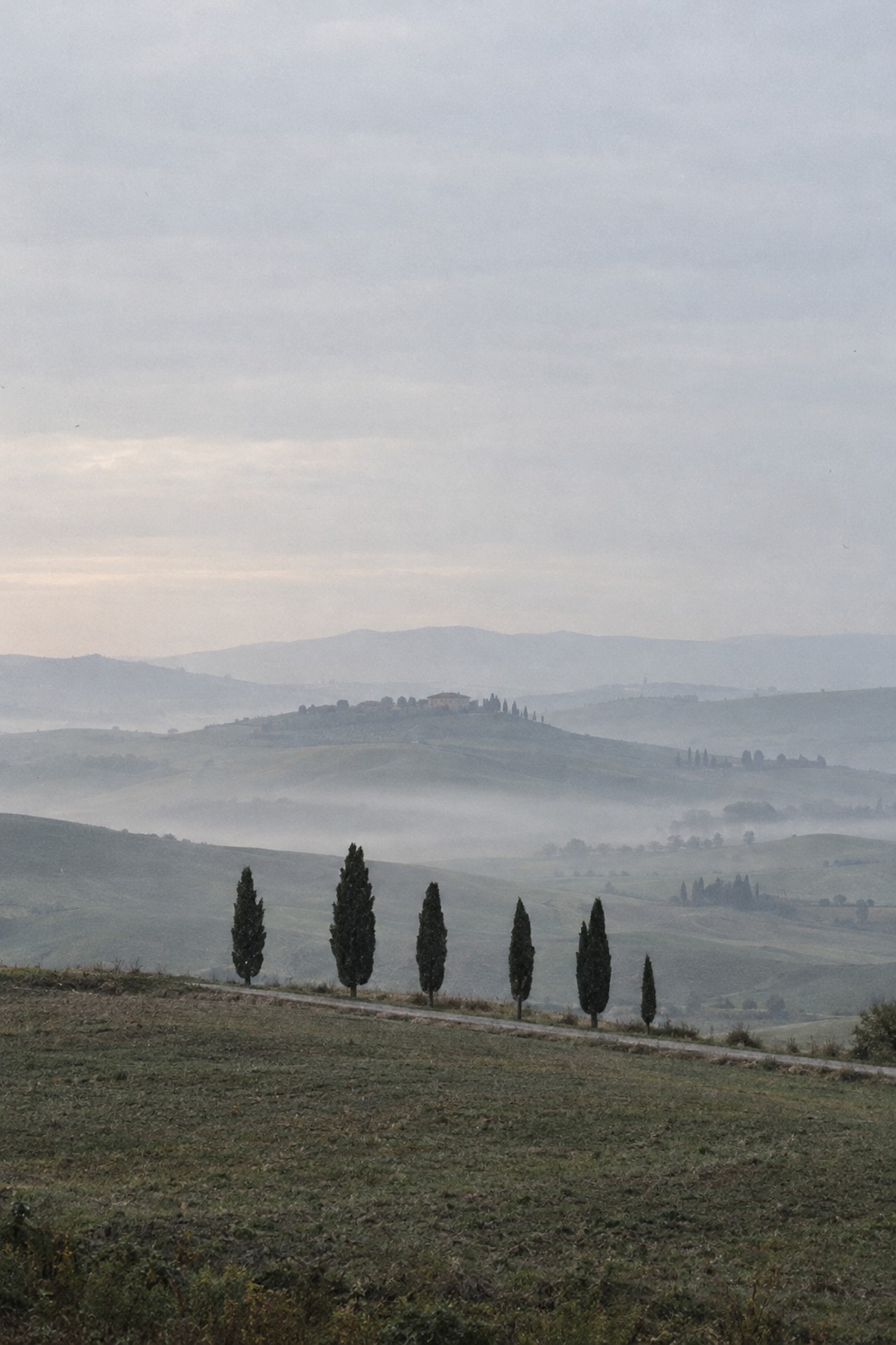 Val d'Orcia at Dawn